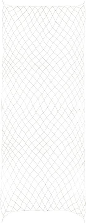 Actual product image Relaxdays Ranknetz (10 cm, 5 cm)