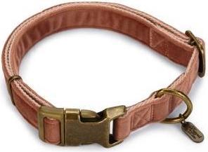 Actual product image Designed by Lotte Velura (30, Dog, Walks)