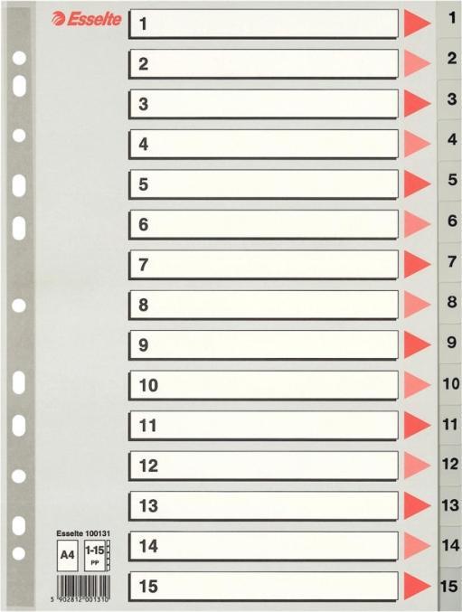 Actual product image Esselte Register PP A4 1-15 Grey