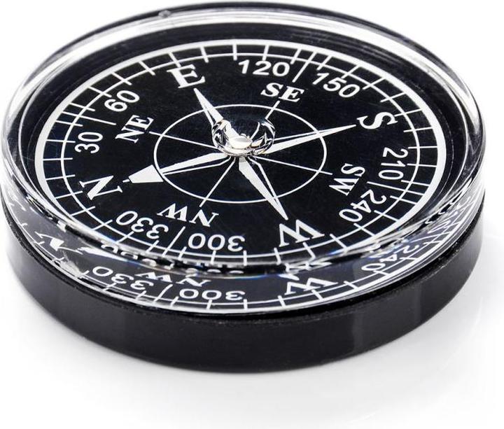 Actual product image Ty Meteor round compass 71014