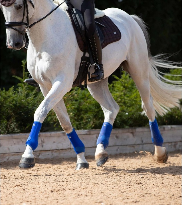 Actual product image Premier Equine horse gaiters preier equine air-tech sports edecine