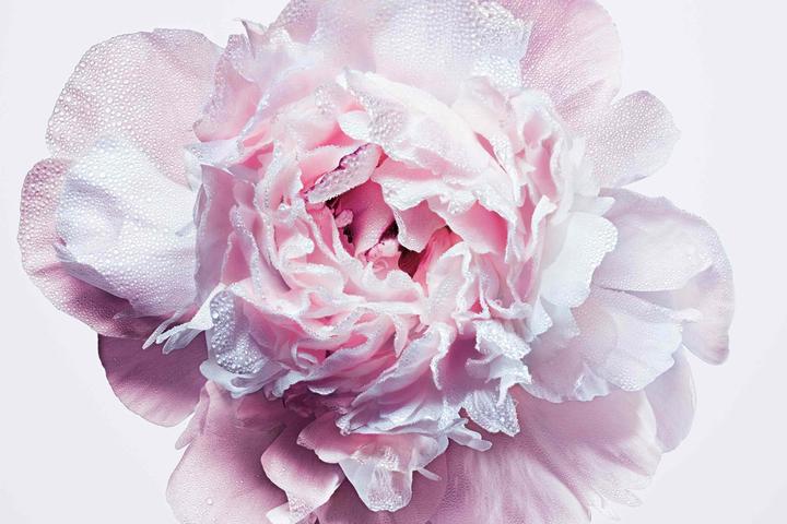 Actual product image Dior Miss Blooming Bouquet (Eau de toilette, 100 ml)