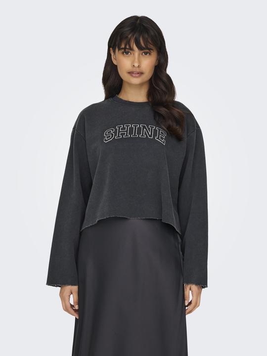 Actual product image Only Regular fit round neck sweatshirt Sweatshirt (L)