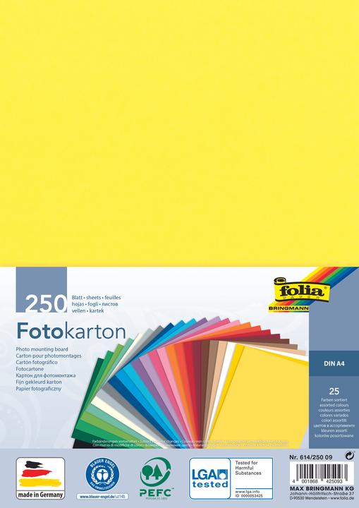 Immagine prodotto Folia Cartoncino fotografico, DIN A4, 300 g/mq, assortito (300 g/m², 250 x)
