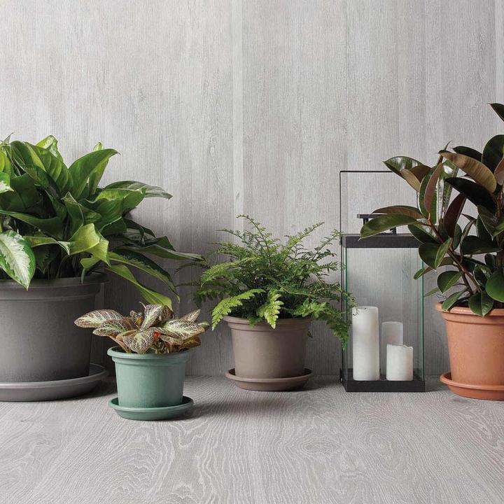 Actual product image Euro3plast Greener Guya (25 cm)