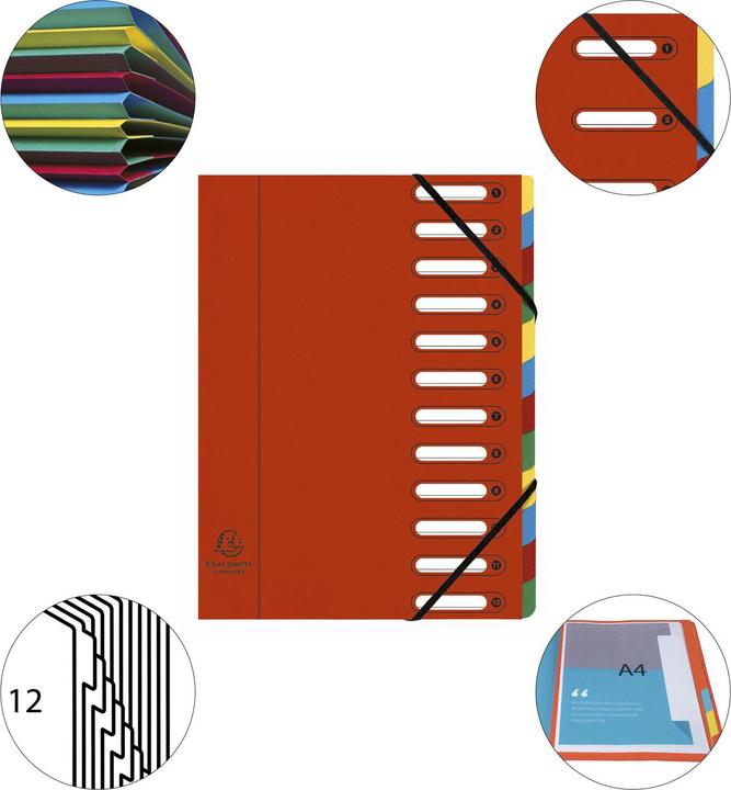 Actual product image Exacompta HARMONIKA - A4 file folders (A4, 1 x)