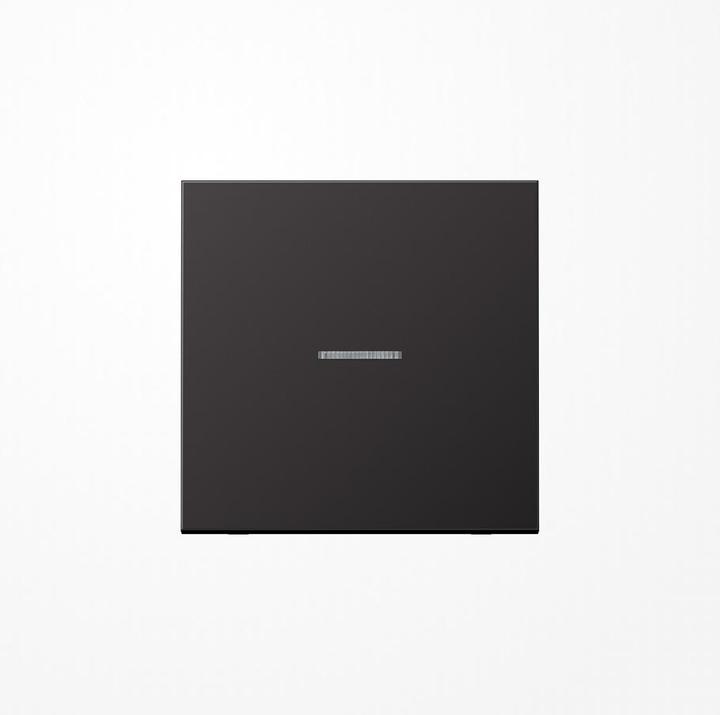 Actual product image JUNG BTAL17101D HOME push-button 1gang