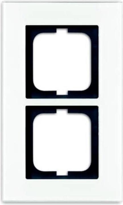 Actual product image Busch-Jaeger Frame