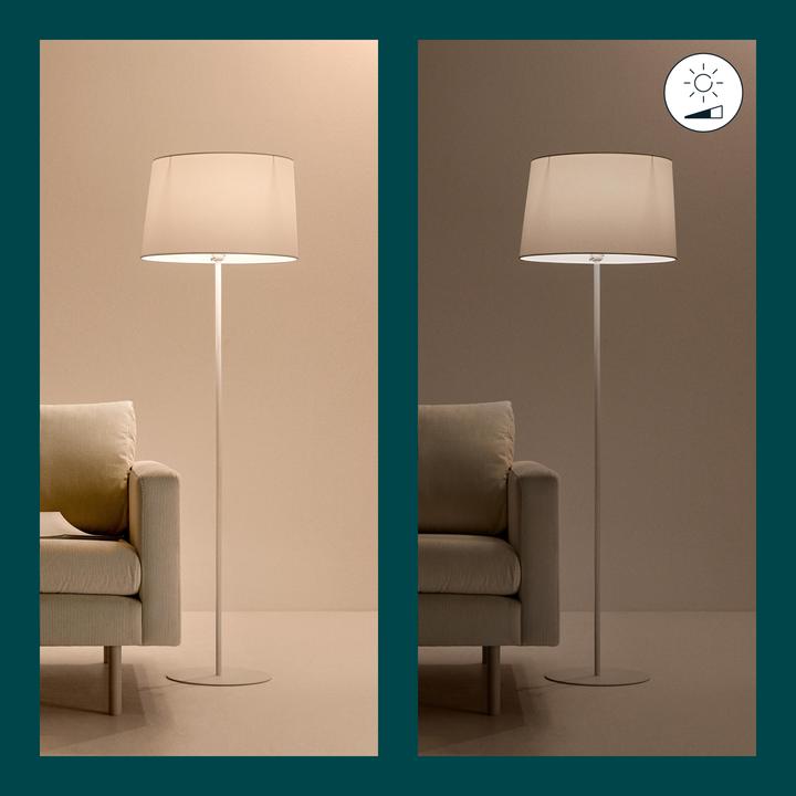 Produktbild WiZ Warm White (E27, 806 lm, 2 x)