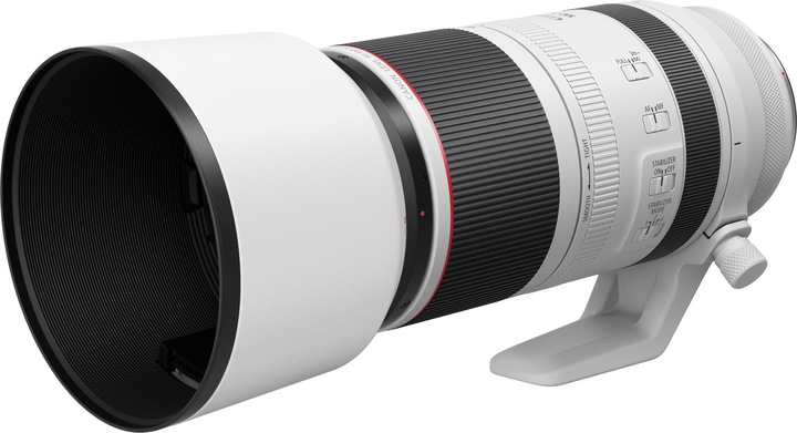 RF 100-500mm f/4.5-7.1 L IS USM (Canon RF, Full-frame)