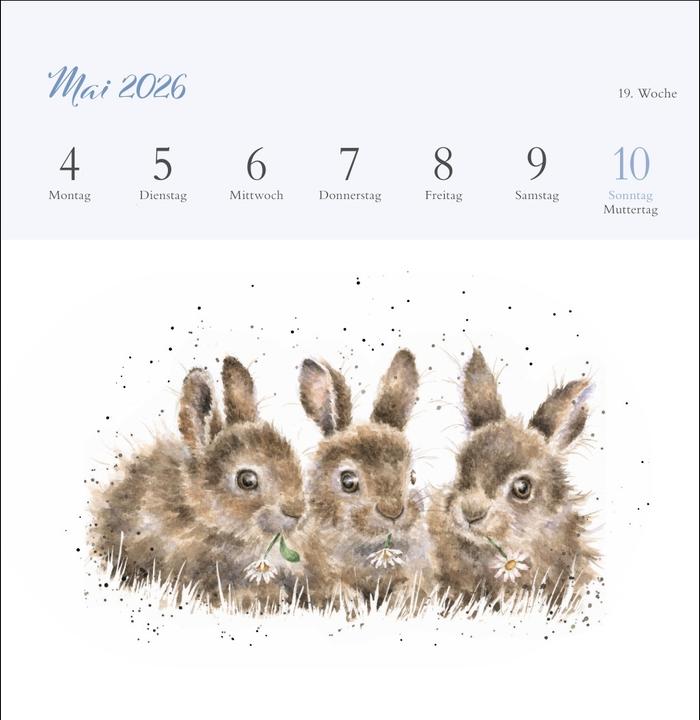 Produktbild Hannah Dale: Happy Animals Premium-Postkartenkalender 2026 (165 x 177 mm, Kein Einband, Deutsch)
