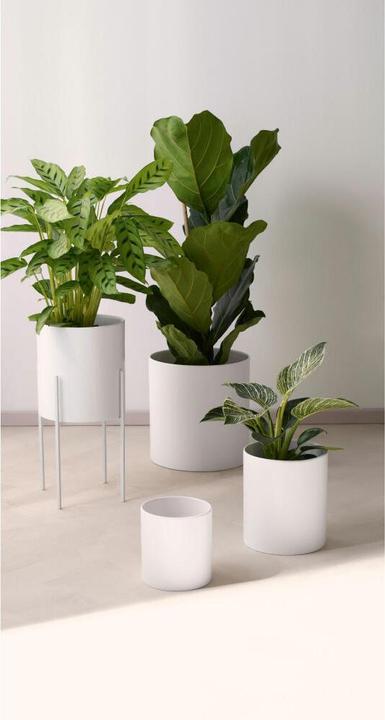 Produktbild ASA Selection weiss (14 cm)