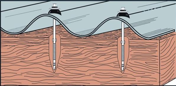 Actual product image Eurotec Roofing screws (1 Screws per piece)