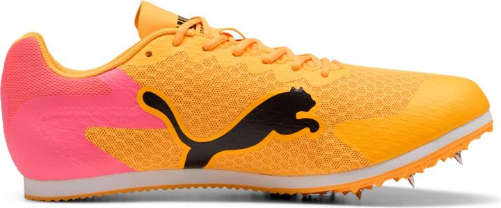 Image du produit Puma evoSPEED Star 9 (45)