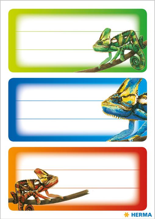 Immagine prodotto HERMA Etichette del libro