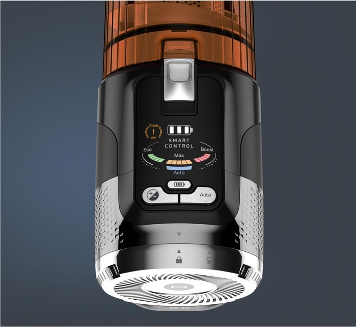 Actual product image Rowenta XForce Flex 13.60 Anniversary