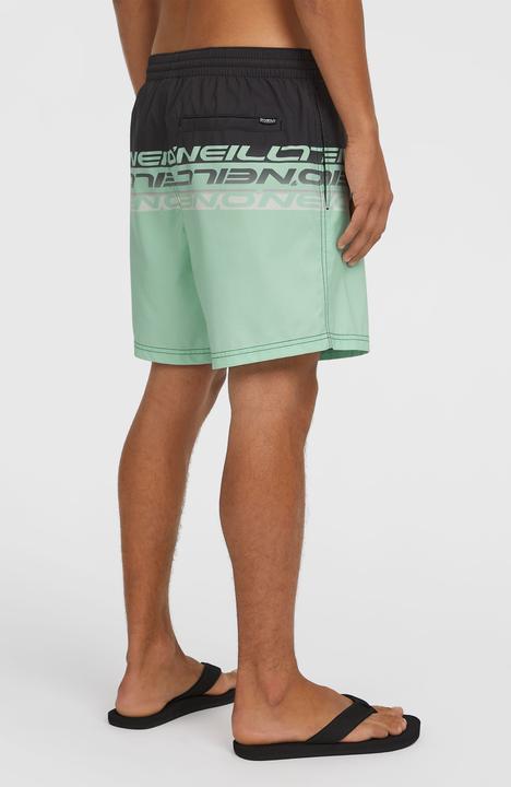 Produktbild O'Neill Cali Stripe 16" Swimshorts (S)