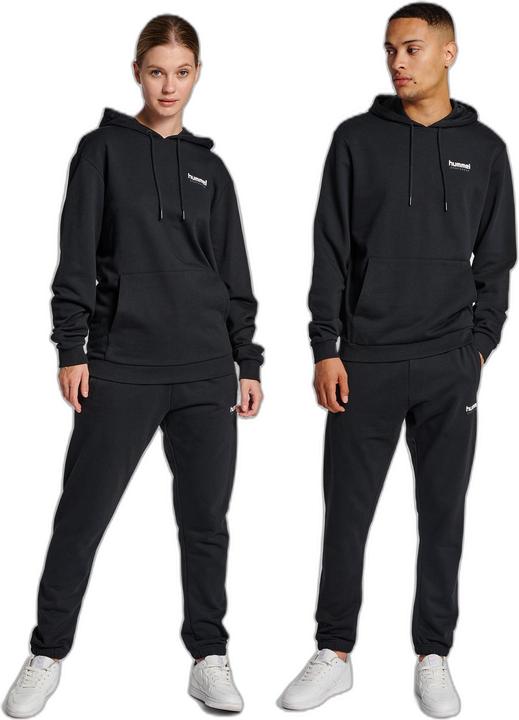 Image du produit hummel Lgc Austin Hoodie (M)
