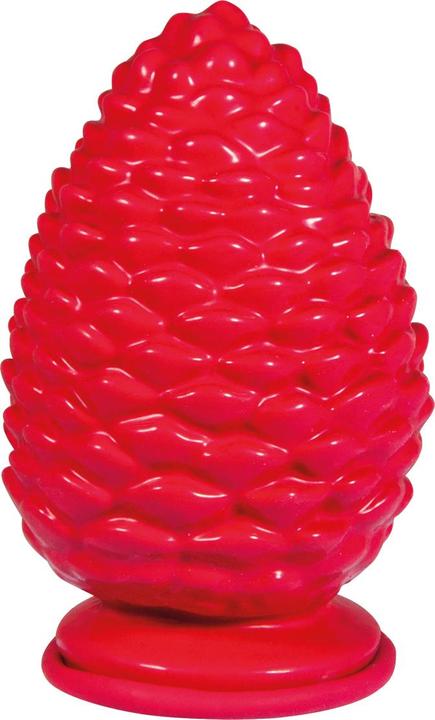 Image du produit Rayher Moule en latex plein : pomme de pin
