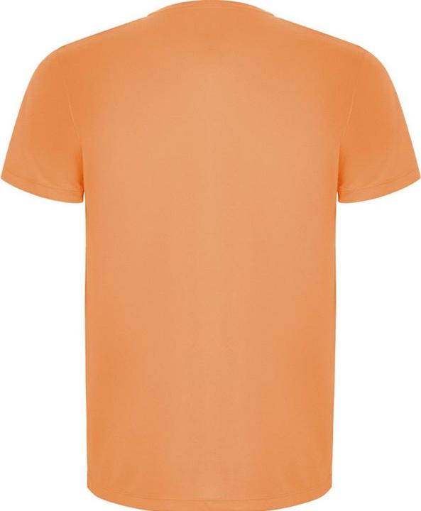 Actual product image Alpinia Mens Imola Short-Sleeved Sports T-Shirt (L)