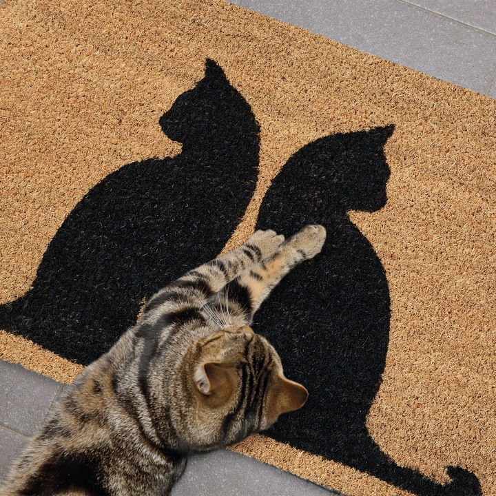 Actual product image Relaxdays Doormat (60 x 40 x 1.5 cm)