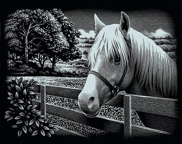 Immagine prodotto Mammut 137007 - Quadro di graffiatura, motivo cavallo, argento, lucido, trasversale, set completo con