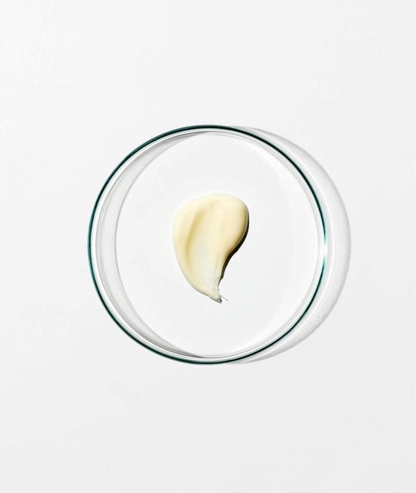 Actual product image Grown Alchemist Regenerating Night Cream: Neuro-Peptide & Violet Leaf Extract (40 ml, Night cream)