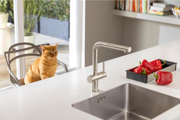 Actual product image Franke Active Twist