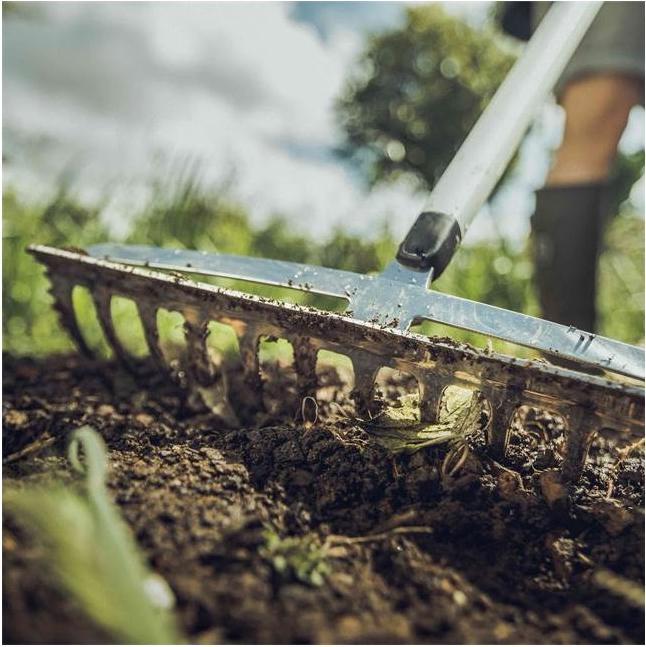 Actual product image Fiskars Xact M