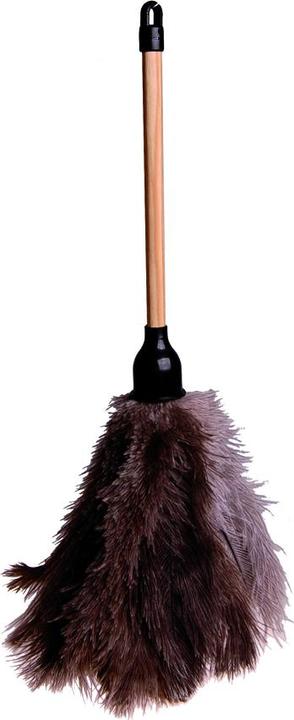 Produktbild Edi Clean Straussenstaubwedel Basic (1 Stk.)