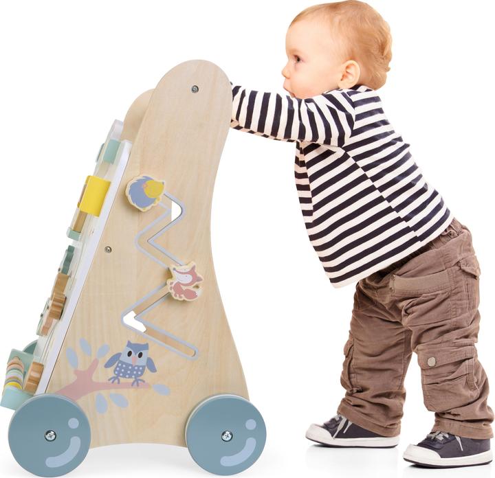 Produktbild Bayer Chic 2000 Activity-Walker