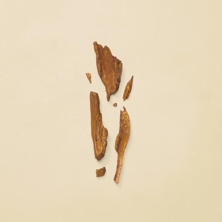 Produktbild Gucci Guilty Absolute (Eau de Parfum, 50 ml)