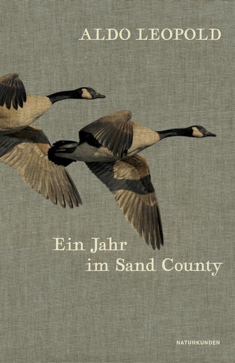 Produktbild Ein Jahr im Sand County (Deutsch, Aldo Leopold, 2019)