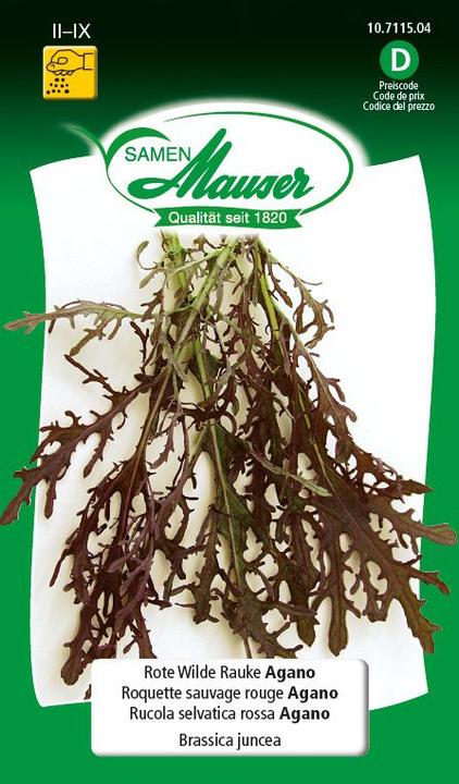 Produktbild Samen Mauser Rote Wilde Rauke Agano (Kräutersamen)
