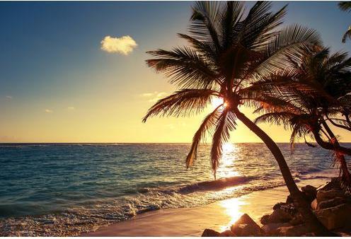 CoverYourDesk Palme sulla spiaggia (40 x 60 cm)