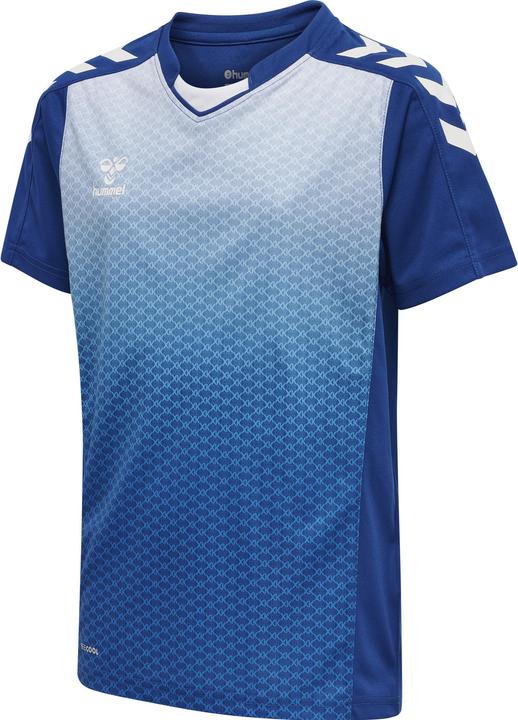 Trueblue