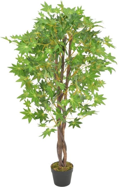 Marrone e verde