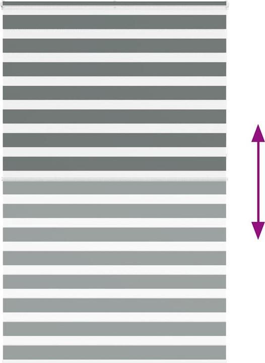 Produktbild vidaXL Zebra-Jalousie (145 x 230 cm)