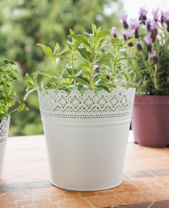 Produktbild Esmée Blumentopf, Übertopf mit Spitzen, Blech (20 cm)