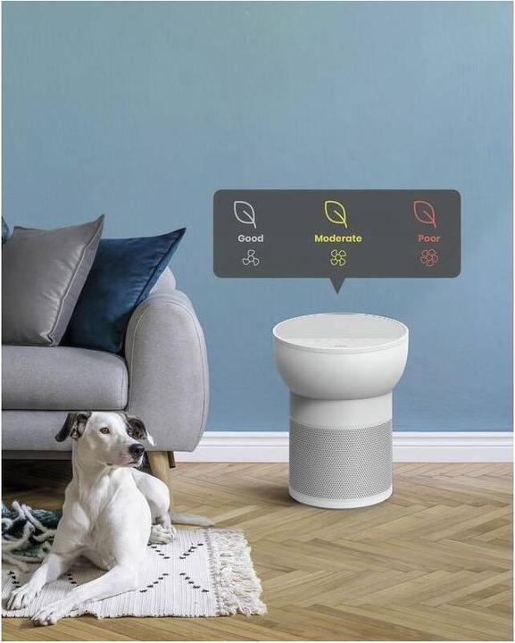 Produktbild TCL Breeva A2WW (24 m²)