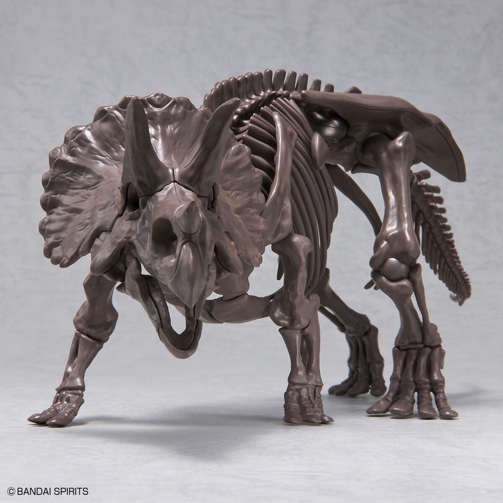 Produktbild Bandai Imaginäres Skelett 1/32 Triceratops