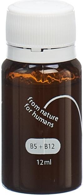 Produktbild Heybee Gelee Royale Power Shot (10 Stück, Ampulle, 224 g)