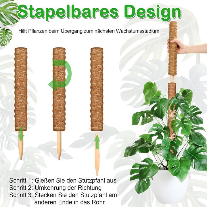 Actual product image Modacraft 27-teiliges Pflanzenstab-Set (42 cm)