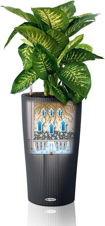 Actual product image Lechuza Cilinro Color 23 (23 cm)