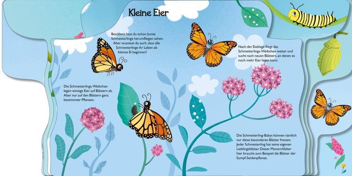 Image du produit De la petite chenille au papillon (Allemand)