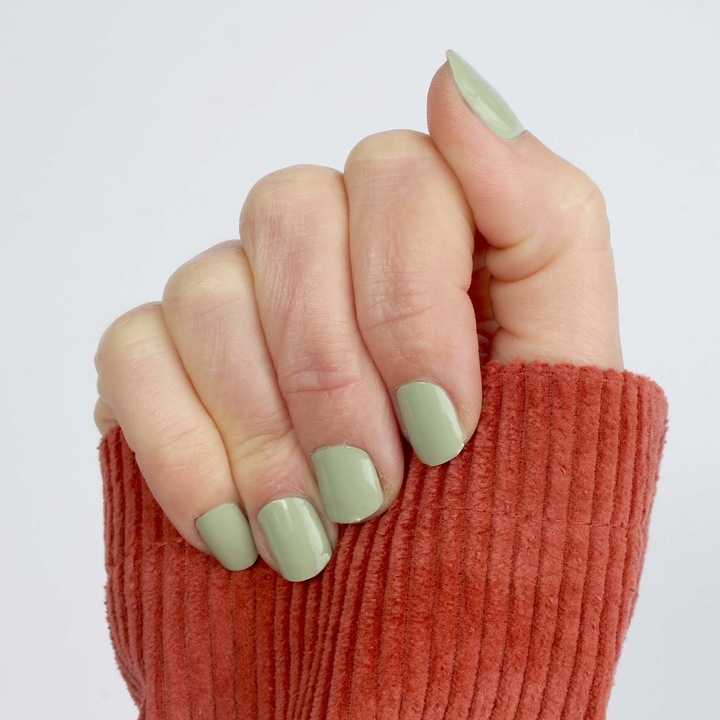 Image du produit Vargu vert solide (Vert solide Vert)