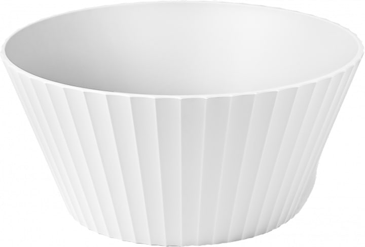Arctic White