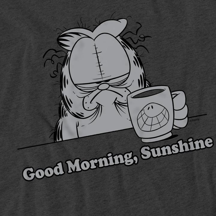 Produktbild Garfield Good Morning Sunshine TShirt (XL)