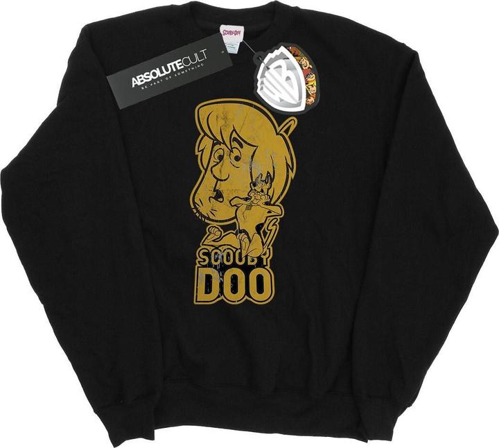 Actual product image Scooby Doo Mens And Shaggy Sweatshirt (3XL)