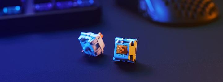 Actual product image Glorious PC Gaming Race Panda Switches (36 Stück)